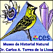 Museo Historia Natural