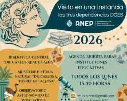 Visitas Instituciones Educativas 