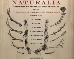 Exposición Curiosa Naturalia